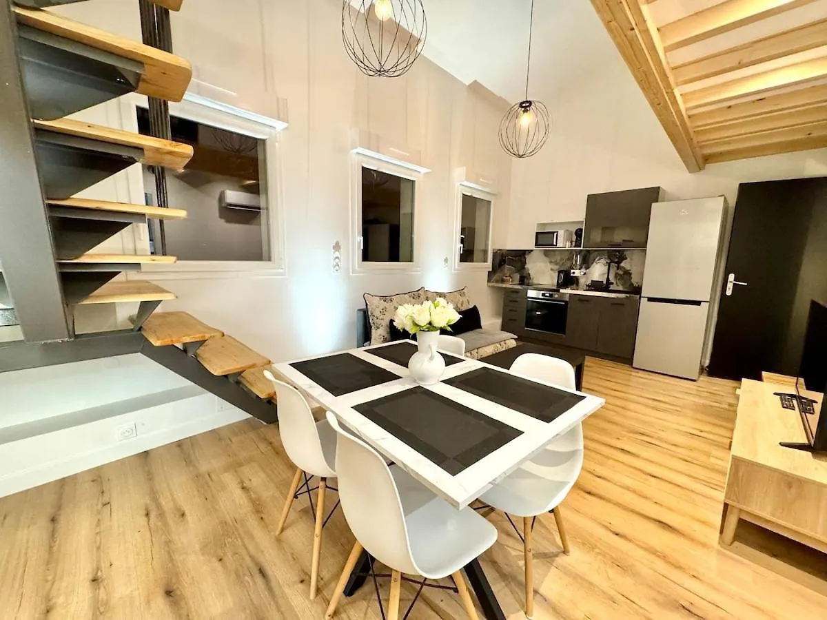 Apartment Apt Disgne Climatise Parking Et Wifi Gratuit Toulouse