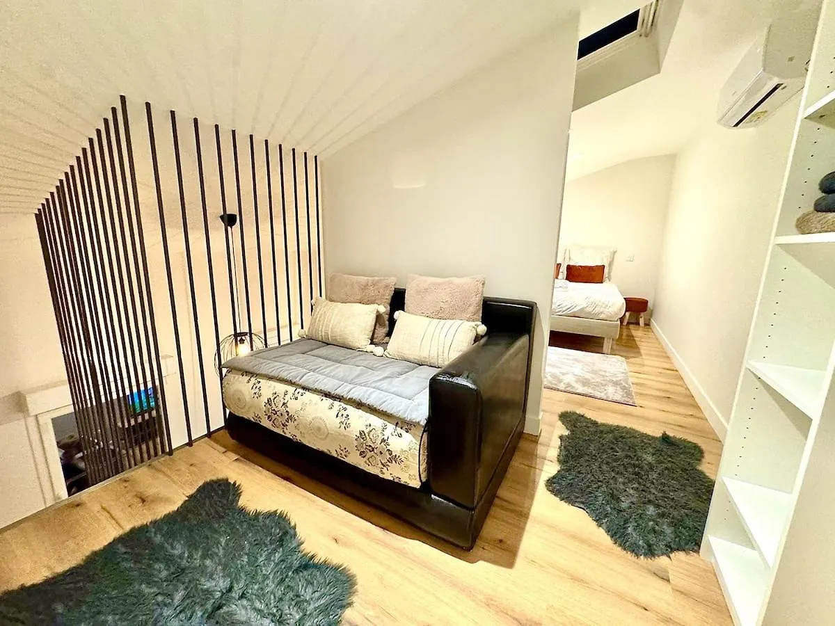 Apt Disgne Climatise Parking Et Wifi Gratuit Toulouse France